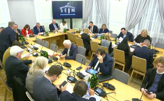 Budżet sportu i turystyki przedstawiał posłom wiceminister sportu i turystyki Piotr Borys (pod oknem