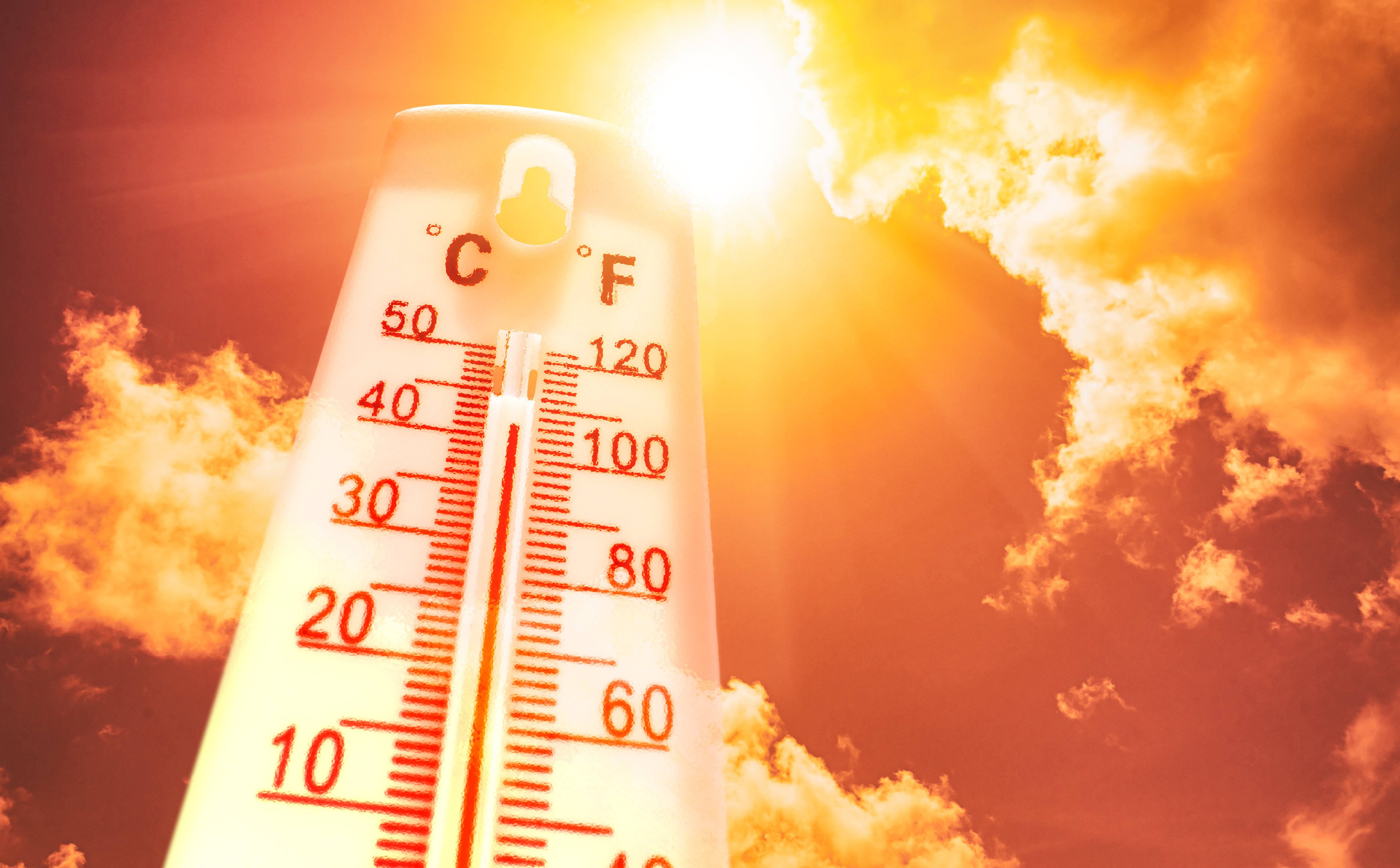 Fala upałów wkroczyła do Polski. Wiadomo, kiedy zrobi się chłodniej