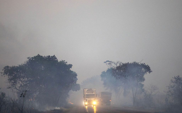 Pożary w Amazonii: Brazylia przyjmie pomoc? Stawia warunek