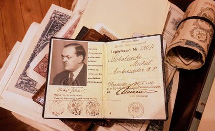 Fragment kolekcji ambasadora Sokolnickiego