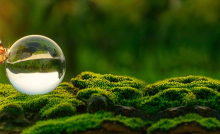 W ostatnich 40 latach zdarzenia związane z klimatem spowodowały w UE straty finansowe w wysokości ni