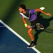 US Open: Grigor Dimitrow wygrał z Kamilem Majchrzakiem