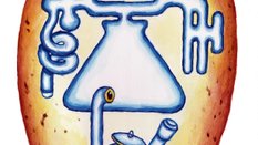 Kopernikański przewrót w biologii. Polka stworzyła życie z materii nieożywionej