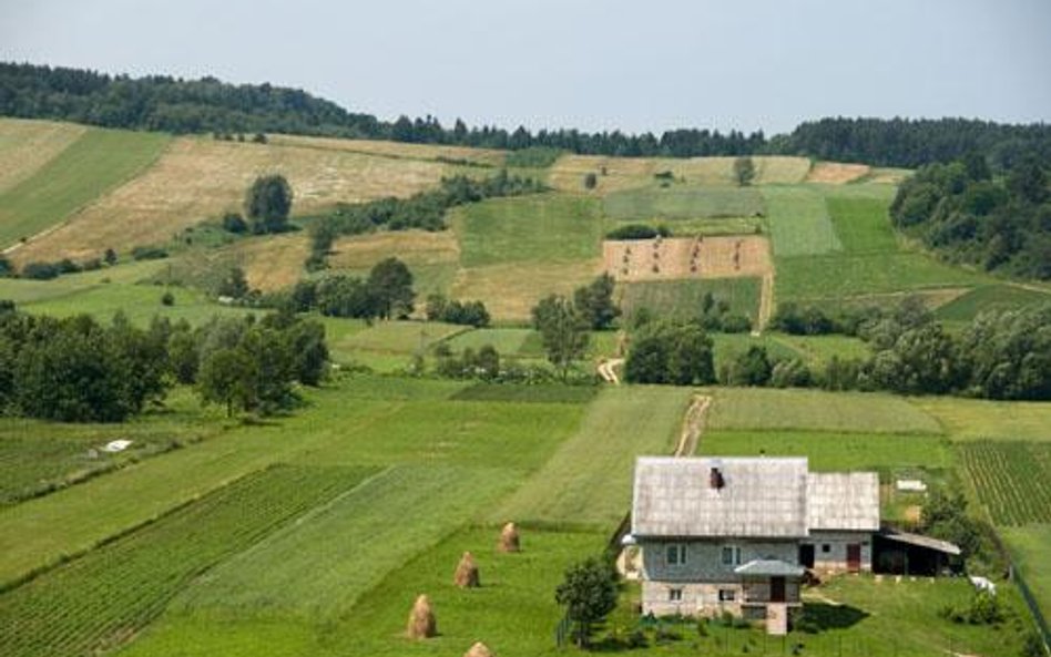 Gmina nie odpowie za spóźniony plan