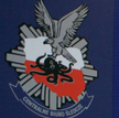 Projekt nowelizacji ustawy o policji przewiduje wyłączenie Centralnego Biura Śledczego ze struktur K