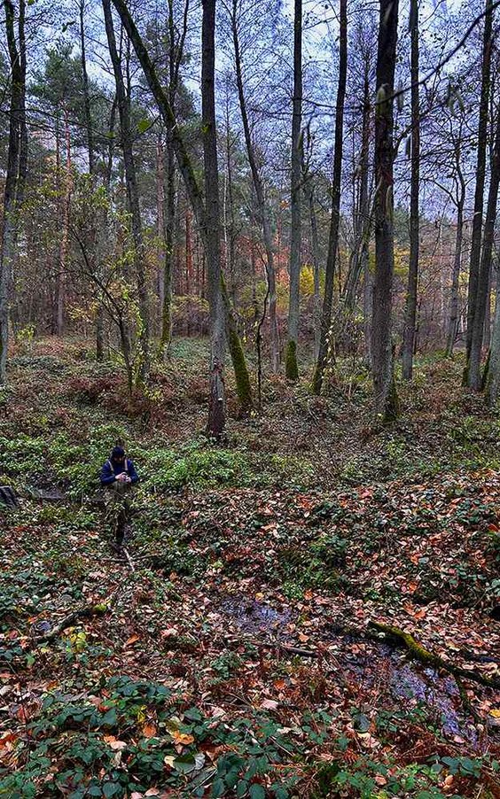 Pomiary cech fizyczno-chemicznych wody źródła w okolicy Osiecka. Fot. Maksym Łaszewski