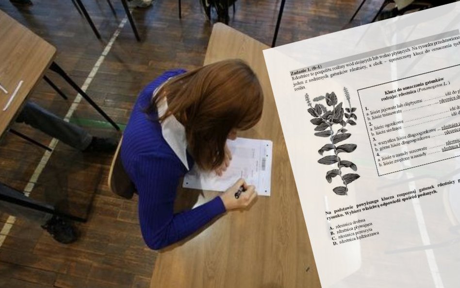 Egzamin gimnazjalny 2018: biologia, chemia, fizyka, geografia, matematyka - pytania i odpowiedzi