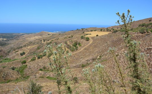 Dzikie pejzaże Akamas