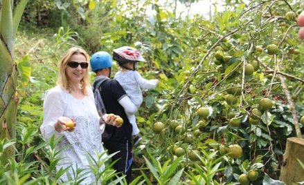 Nowe źródło przychodów niemieckiego TUI