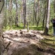 Miejsce znalezienia szczątków niezidentyfikowanego obiektu wojskowego w lesie w okolicach miejscowoś