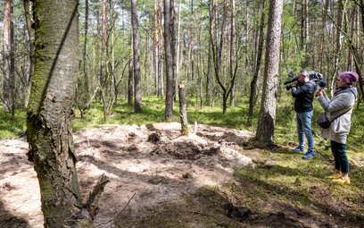 Miejsce znalezienia szczątków niezidentyfikowanego obiektu wojskowego w lesie w okolicach miejscowoś
