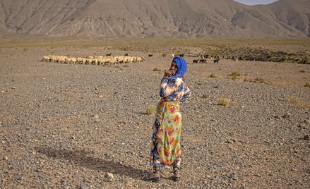 Coraz większe połacie Ziemi narażone są na pustynnienie