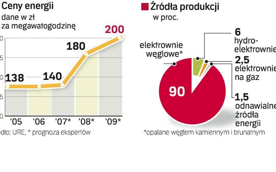 Polskie elektrownie korzystają z węgla