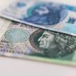 W lutym do funduszy akcyjnych napłynęło 359 mln zł – wynika z najnowszej analizy Domu Maklerskiego T