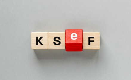 Niezbędnik przedsiębiorcy: KSeF: zwolnieni z VAT, testy i zagrożenia * tajemnica bankowa a kontrola 