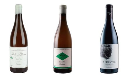 Envínate Benje Blanco 2020 105 zł Envínate Palo Blanco 2020 153 zł Suertes del Marqués 7 Fuentes 201