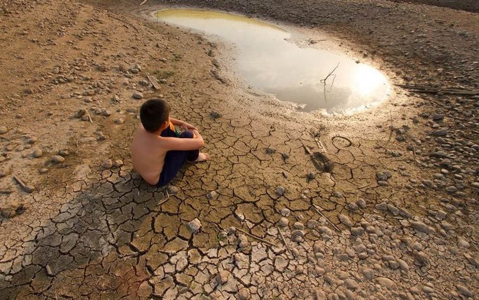 Niemrawe działania na rzecz klimatu: przechodzenie na gospodarkę zeroemisyjną