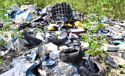 Dzikie wysypiska śmieci wciąż dużym problemem w Polsce