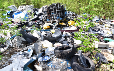 Dzikie wysypiska śmieci wciąż dużym problemem w Polsce