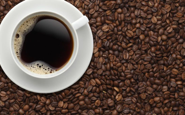 Filiżanka kawy coraz droższa przez zmiany klimatyczne