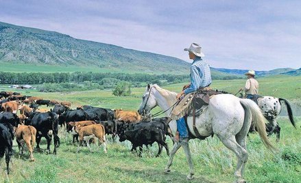 Zdjęcia do flimu „Zaklinacz koni” kręcono na ranczu koło Livingston w stanie Montana