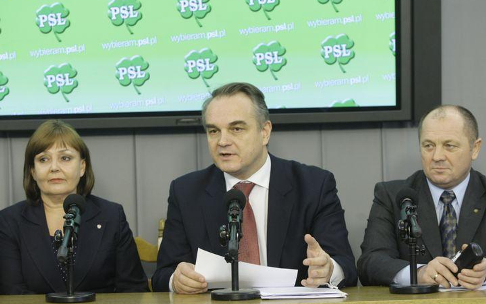 Konferencja prasowa PSL