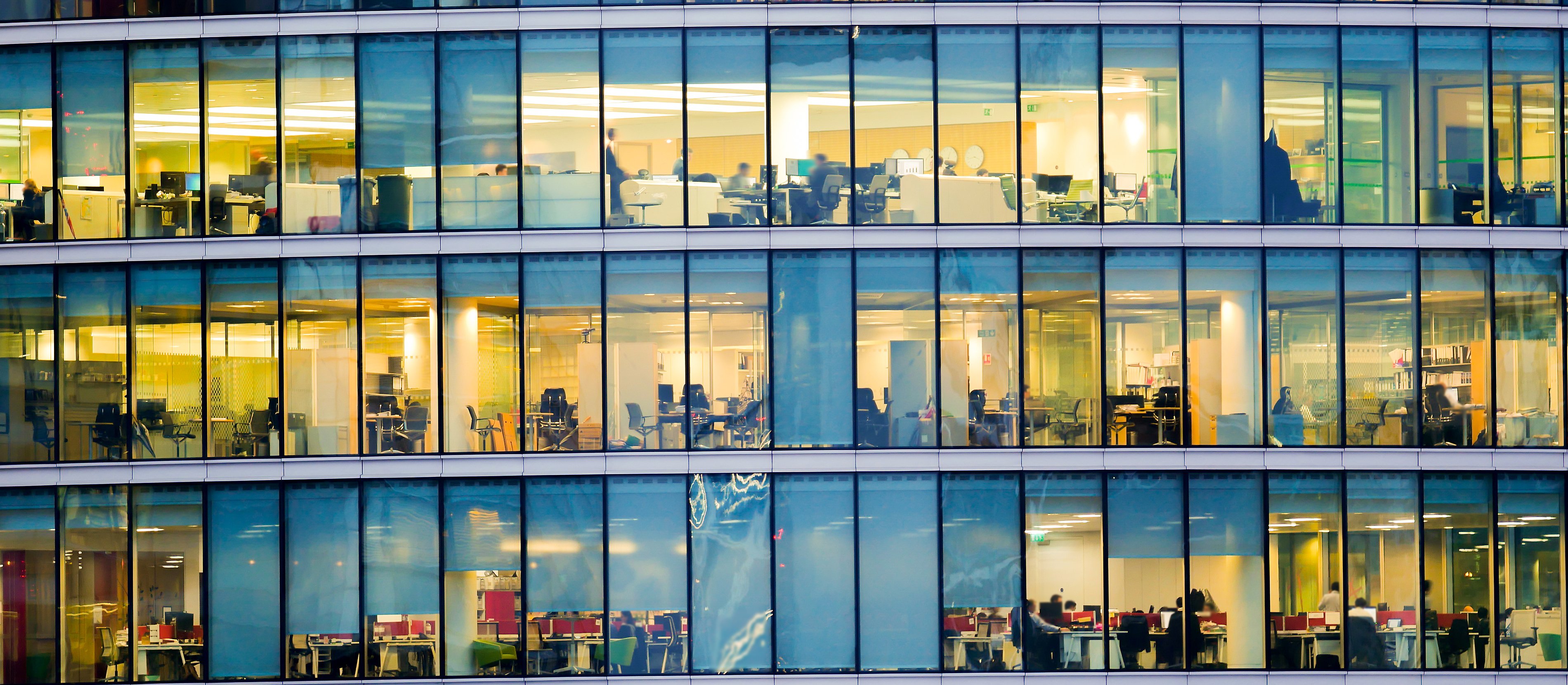 W 2026 r. firmy częściej będą szukać ludzi do transformacji biznesu