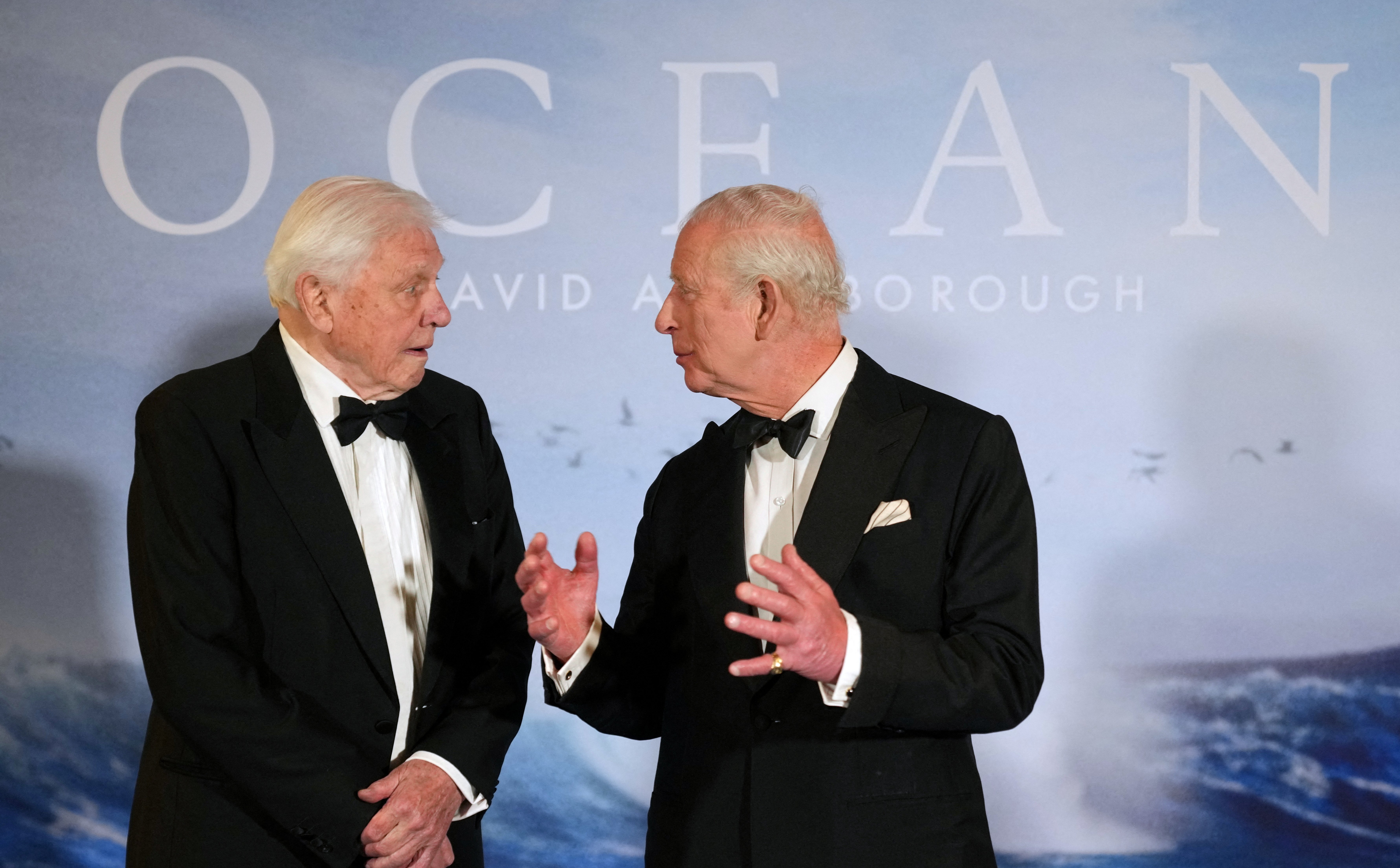99-letni David Attenborough pokazał swój nowy film. „To przesłanie jego życia”