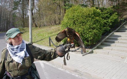 Opiekunka drapieżnych ptaków z lotniska Marynarki Wojennej w Babich Dołach