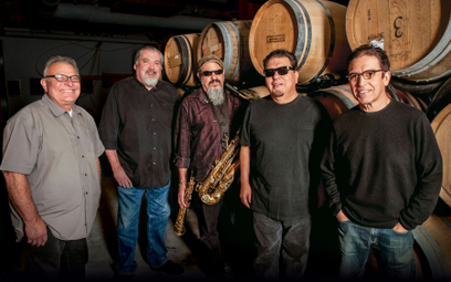 Zagrają Los Lobos, Ziggy Marley i Suede