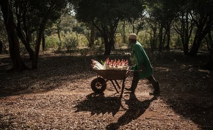 Słoniowy sierociniec przywraca chęć do życia
