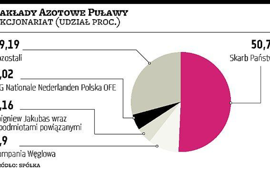 Załoga i samorząd lokalny chcą kupić puławskie Azoty