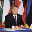 Krzyżak: Spółka z Matteo i Viktorem? Boję się nawet o tym myśleć