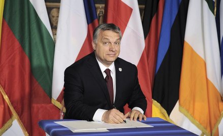 Krzyżak: Spółka z Matteo i Viktorem? Boję się nawet o tym myśleć