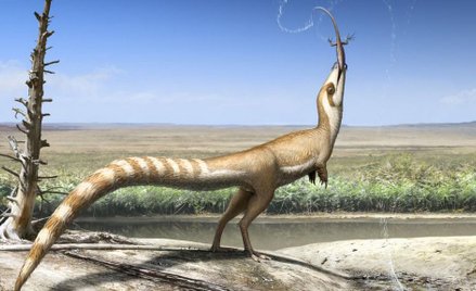 Jak się chowa dinozaur
