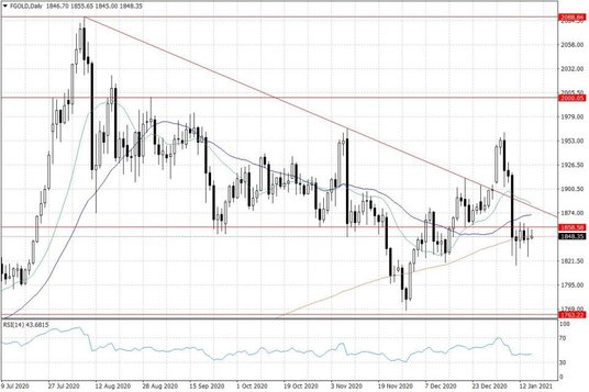 Notowania złota – dane dzienne