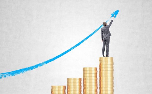 "portfe dywidendowy"