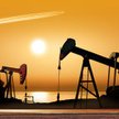 Za baryłkę ropy gatunku Brent płacono w poniedziałek już tylko 48 dol.