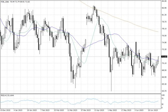 Notowania ropy naftowej WTI – dane dzienne
