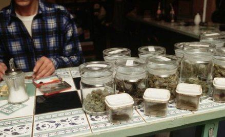 Bez prohibicji. O zasadach funkcjonowa-nia coffee shopów decydować będą władze lokalne