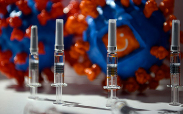 Koronawirus: Co czwarty Brazylijczyk sceptyczny wobec szczepionki