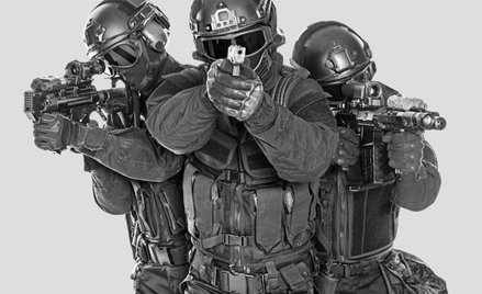 „Operacyjne" tymczasowe aresztowanie podejrzanego o terroryzm - nie wystarczy zwykła notatka