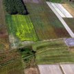 Starosta może z urzędu rozpocząć prace scaleniowe gruntów rolnych podzielonych na skutek inwestycji 