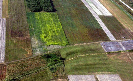 Starosta może z urzędu rozpocząć prace scaleniowe gruntów rolnych podzielonych na skutek inwestycji 