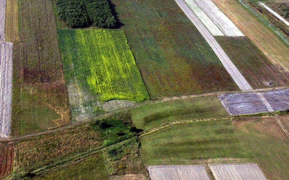 Starosta może z urzędu rozpocząć prace scaleniowe gruntów rolnych podzielonych na skutek inwestycji 