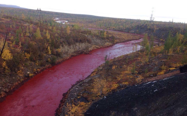 Rzeka Dałdykan pod Norylskiem wygląda, jakby była pełna krwi