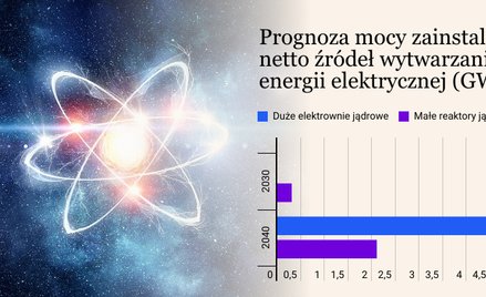Kiedy polski atom i kto za to zapłaci? Budowa elektrowni przyspieszyła [RAPORT]