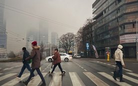 Dziś akcja „Bezpieczny Pieszy” w Warszawie