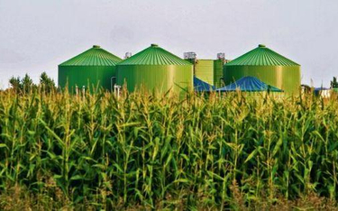 Nowelizacja ustawy o OZE wprowadzi ochronny parasol dla rolniczych biogazowni