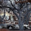 Fale rekordowych upałów zwiększyły liczbę gwałtownych pożarów, jak te, które spustoszyły Maui